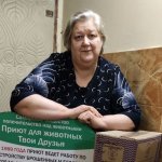 «День помощи приютам для животных»