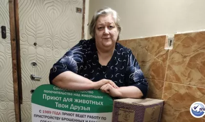 &laquo;День помощи приютам для животных&raquo;