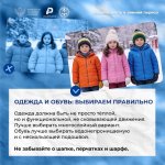 photo_2026-01-29_11-11-26 (2)