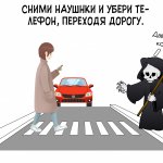 Дильман Алена СА-240