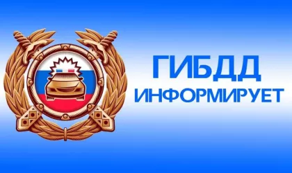 Kartinka_GAI_info(11)(22)