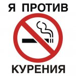 news_32194_image_900x_