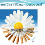 Мир без табака