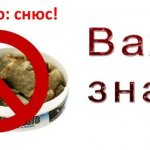 снюс картинка