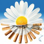 ea4b5c4ccfab7f9fa50ab1d6fd0893b6