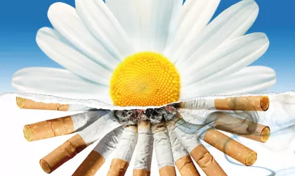 ea4b5c4ccfab7f9fa50ab1d6fd0893b6