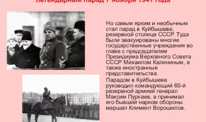 081ce597b1010ab219303c065e9af61b-800x