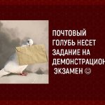 photo_2023-05-05_15-03-26