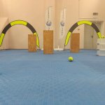 photo_2023-06-09_16-38-33