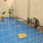 photo_2023-06-09_16-38-42