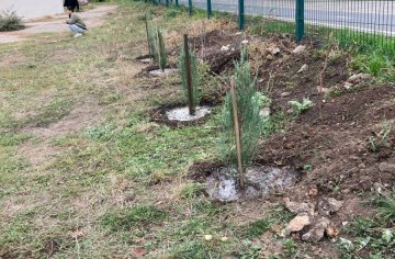 photo_2023-10-06_08-40-23