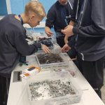 photo_3_2023-11-10_16-57-36