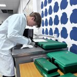 msg1308962208-100325