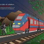 Сергеева Елизавета Д-31