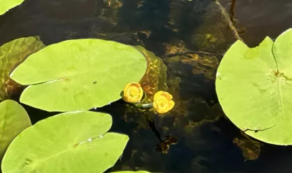 IMG_20240712_131242_192