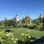 IMG_20240712_131245_002