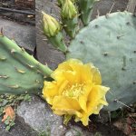 IMG_20240712_131247_046