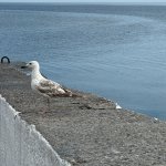 IMG_20240712_131250_029