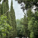 IMG_20240712_131302_055