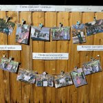 9b0f0607-1c8c-41ca-bd85-0680380e4517