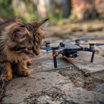 photo_5244569674950238835_x