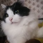 photo_2024-10-04_09-03-17