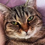 photo_2024-10-04_09-03-20