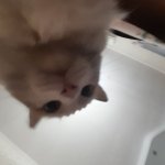 photo_2024-10-04_09-03-26