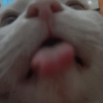 photo_2024-10-04_09-03-26 (2)