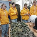 2212b90b-9292-45ea-8533-019270bd3212