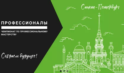 professional_final_2024