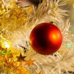 bbf66eda-8cbd-5502-a2da-0da4e83a08f5