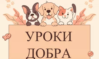 УРОКИ ДОБРА 3