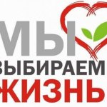 photo_2025-03-26_15-52-30 (2)