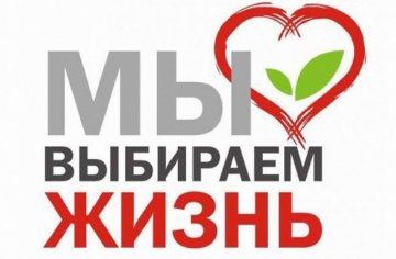 photo_2025-03-26_15-52-30 (2)