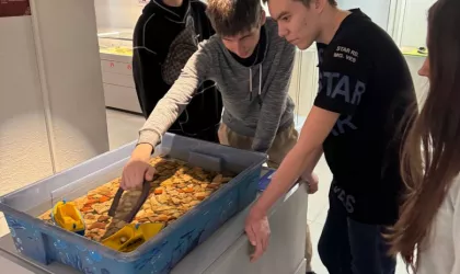 image-17-04-25-10-34-3