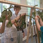 Делаем добрые дела!