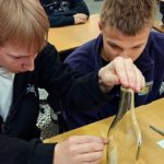 VpxdazdvBPclPLwn8yzWO6zM-Xxx0vOil_cGYD5I8ffJxLrN44JGRQLbdRtEPT9dglczej_xlON52RdWk-K-QyV_