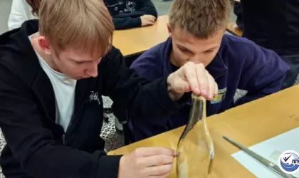 VpxdazdvBPclPLwn8yzWO6zM-Xxx0vOil_cGYD5I8ffJxLrN44JGRQLbdRtEPT9dglczej_xlON52RdWk-K-QyV_